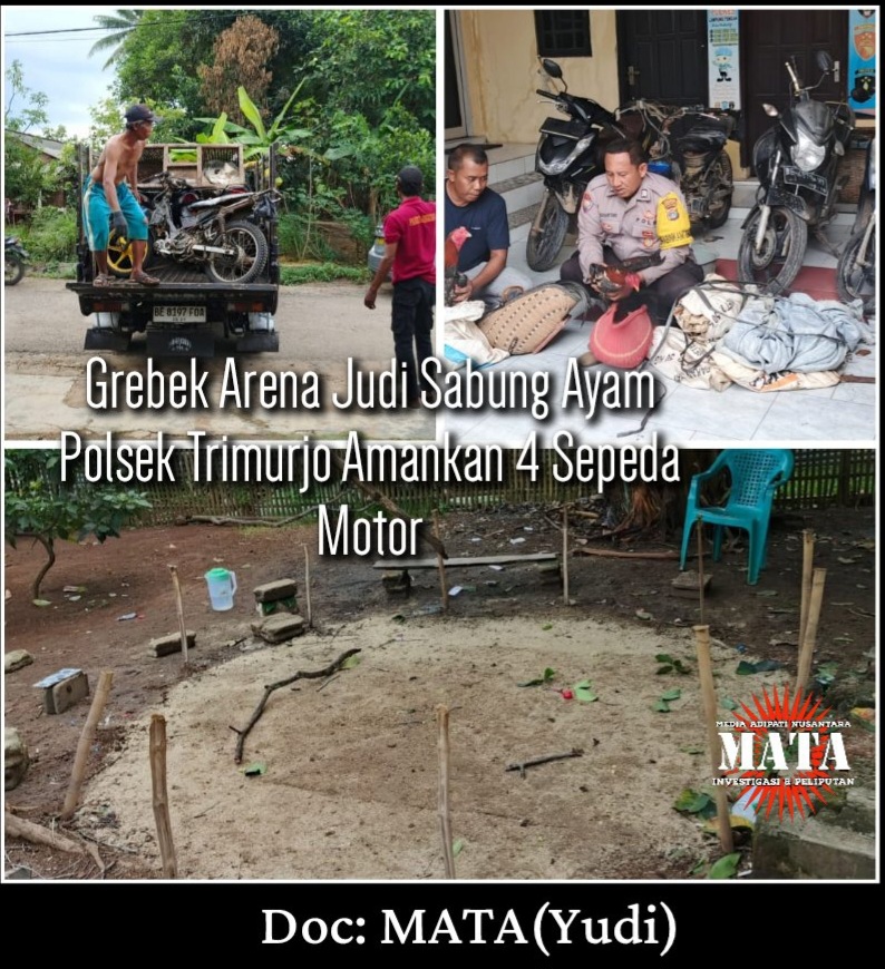 Grebek Arena Judi Sabung Ayam Polsek Trimurjo Amankan 4 Sepeda Motor